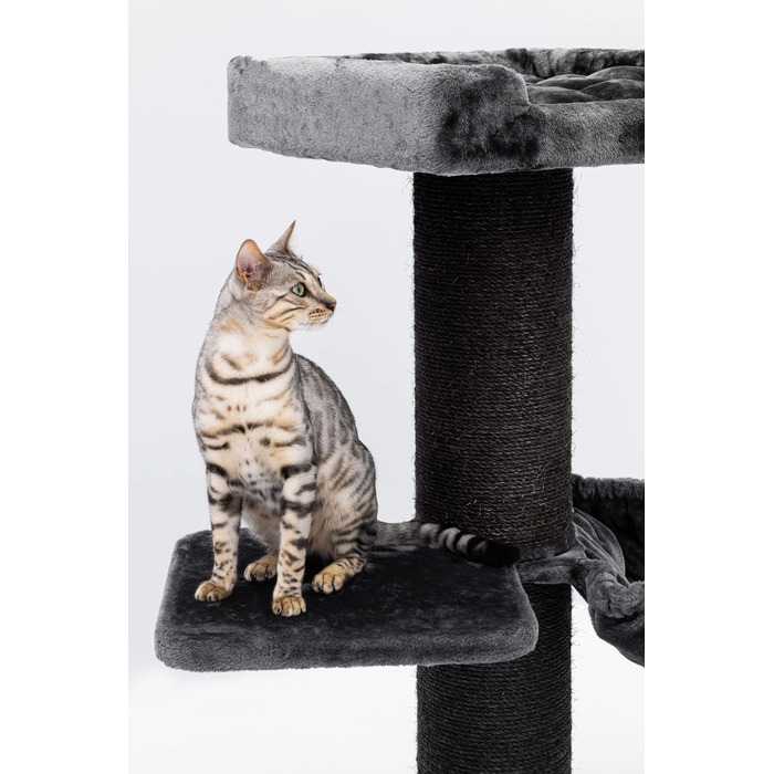 Когтеточка для великих котів Petrebels Maine Coon, 117 см, преміум-якість, стовпи Ø20 см, чорна