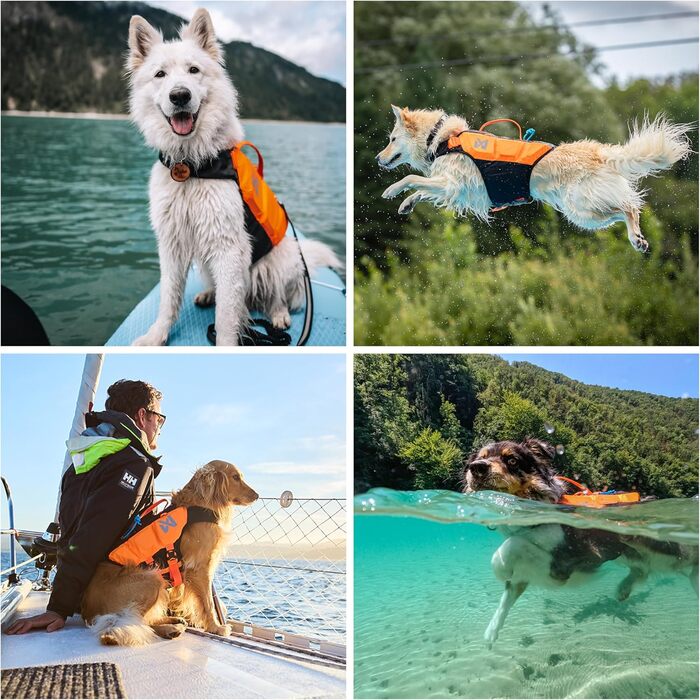 Рятувальний жилет для собак Non-stop dogwear Protector, розмір 6, для плавання, SUP, реабілітації