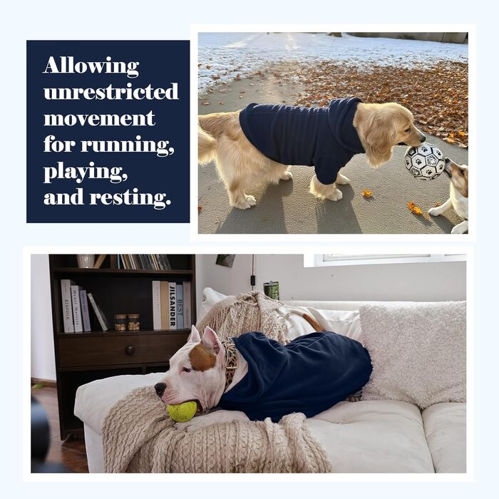 Теплий флісовий худі з капюшоном для великих собак Nanaki з отвором для повідка, блакитний, для хлопчиків та дівчаток, м'який, еластичний, для Бігль, розмір L (Обхват грудей: 58 см)