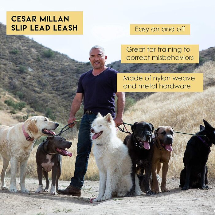 Повідок-удавка Cesar Millan 2в1 для собак, інтегрований нашийник, ретриверна повідок, розмір S/M, чорний/жовтий, 120 см