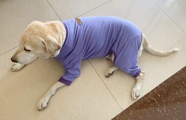 Піжама для собак великих порід: захист суглобів, анти-шерсть, фіолетовий колір