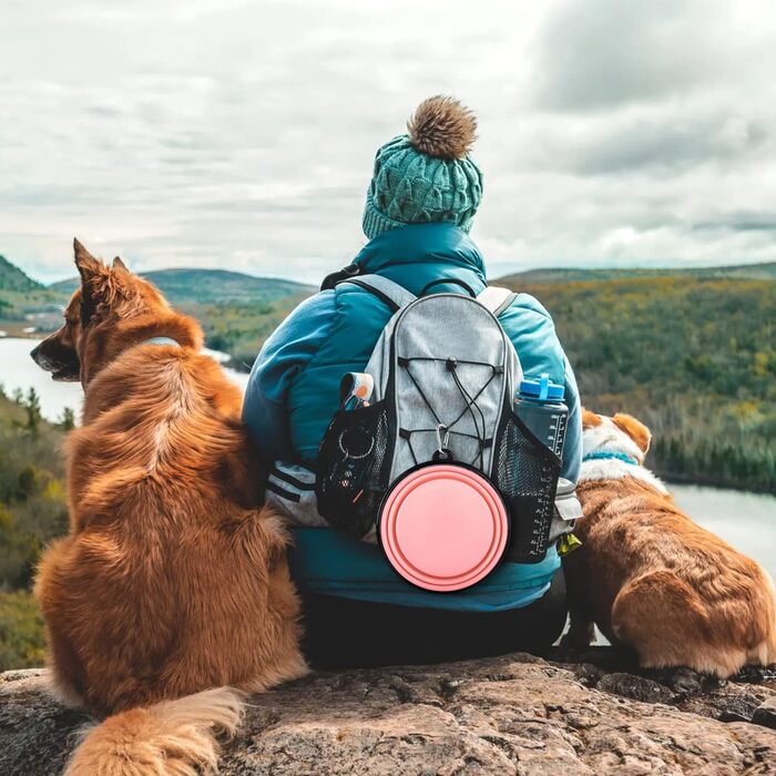 Складана поїлка для собак і котів PAERCUTE, 2 шт., портативна миска для води з карабінами для прогулянок, подорожей, походів