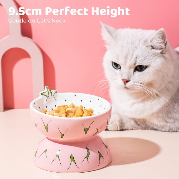 Котло propositions для котів TIGOADT, керамічна миска з дизайном ківі, нахилена годівниця для котів з підставкою, миска для кошенят, що запобігає блювоті, придатна для миття в посудомийній машині (рожева)