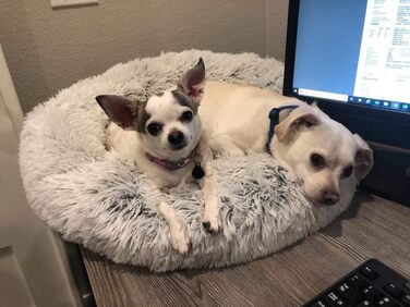 Розкішне собаче ліжко з піднятим бортиком, подушка для домашніх тварин знімним чохлом, миється, для собак маленьких, середніх та великих порід, розмір L, (S-50см, бежевий)