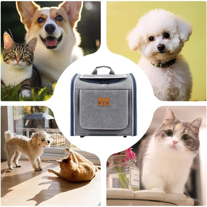 Фонарик-переноска для велосипеда, дихаючий, портативний, для собак та котів, велосипедний кошик, для прогулянок, подорожей, безпеки, сімейного відпочинку