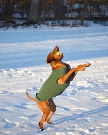 Тепла флісова жилетка Gooby для собак, розмір XL (довжина 57 см)