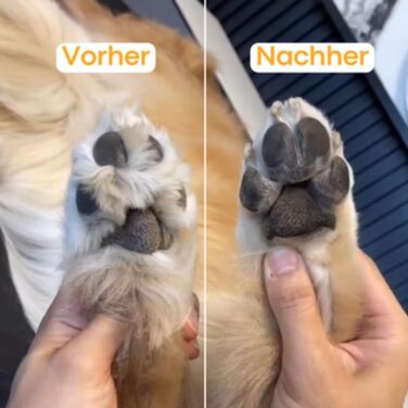 Триммер для собак: безпечна обрізка подушечок лап, 1 шт.