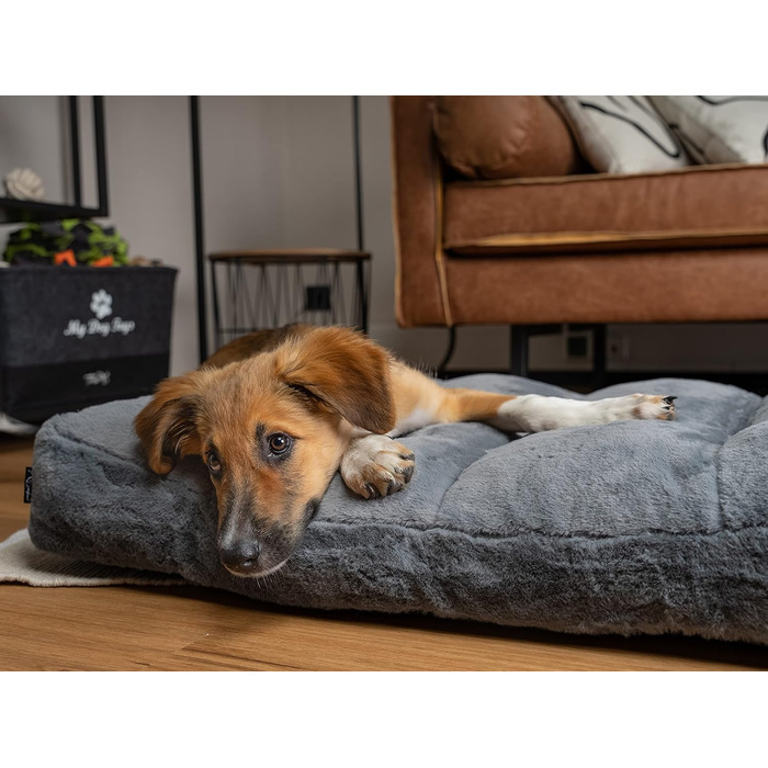 TrendPet Maya Ortho - Ортопедичне ліжко для собак (80x60 см)