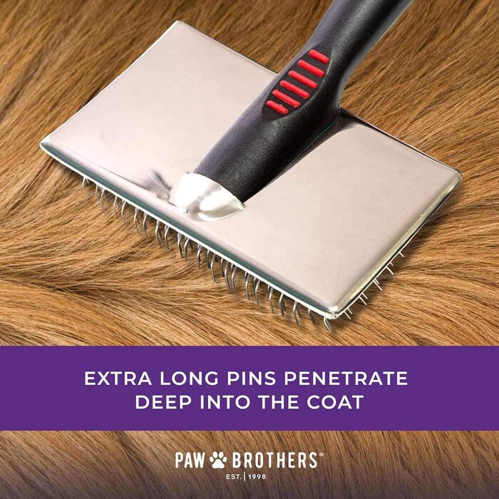 Професійна щітка для короткошерстих собак Ryan's Pet Supplies Paw Brothers, середня, 8,9x4,1 см, з покритими кінчиками, м'яка до шкіри