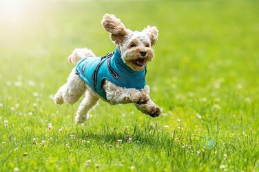 Зимова куртка CHIARA для собак, модель MAX, розмір M, матеріал: 100% поліестер, з флісовою підкладкою, зручна у надяганні, регульована довжина, можна прати в пральній машині, колір: бірюзовий