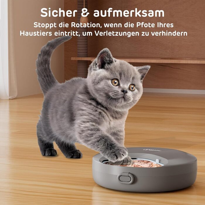 Автоматичний дозатор корму для котів iPettie Zharko - 4 відділення, таймер, охолоджуючі пакети, легко мити