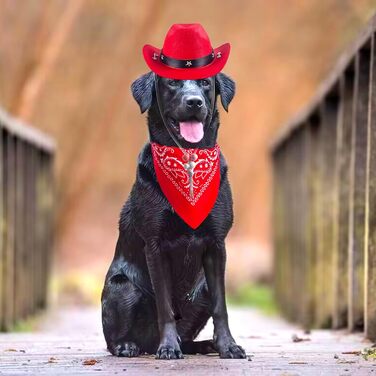 Ковбойський комплект для тварин: капелюх та бандана для собак та котів. Ідеально для святкування дня народження в мексиканському стилі та повсякденного носіння. Червоний, однотонний (Getaway Solids)
