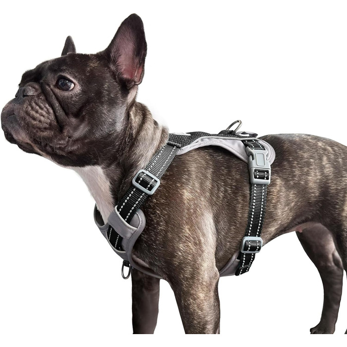 Шлейка для собак Huntboo Anti-Zug, проти вислизання, для малих, середніх та великих собак, не тягне, з світловідбиваючими елементами та 2 карабінами, не дає змогу душитися, регульована для тренувань та бігу (Чорний, S)