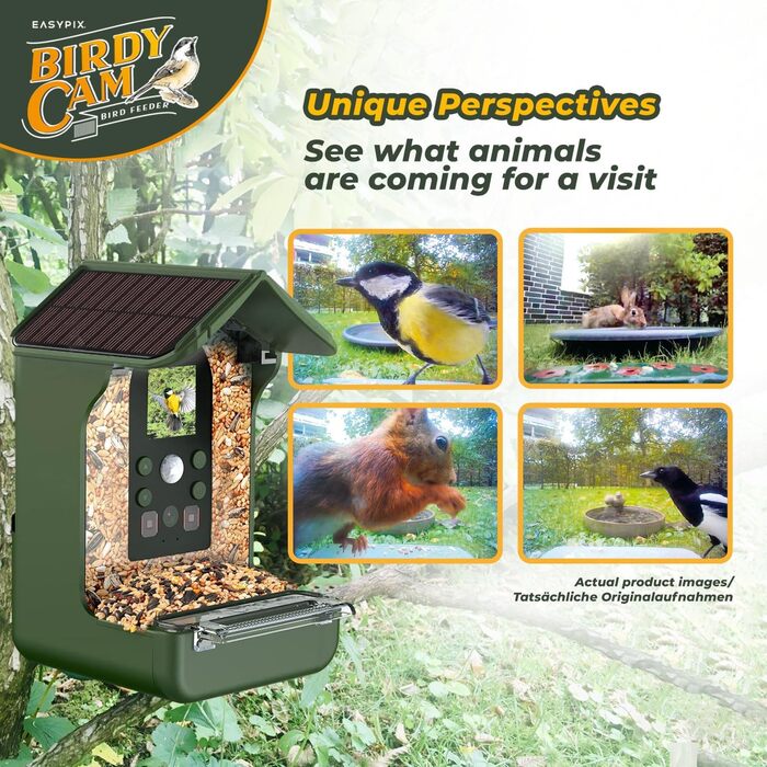 Пташина годівниця з камерою EASYPIX BirdyCam, сонячна енергія, автоматичне HD-відео та фото, кормушка для саду