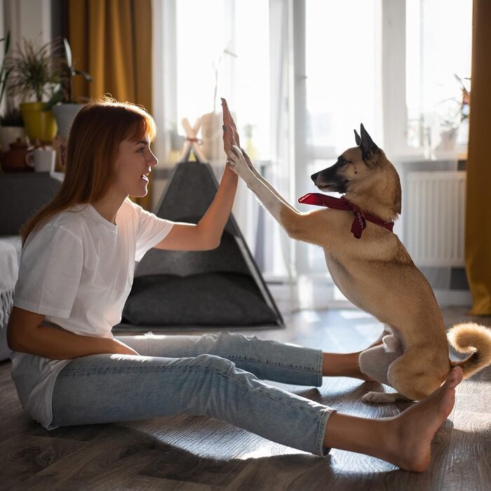 Будиночок-намет для собак і котів Relaxdays, фетр і дерево, з подушкою, 70,5x59,5x59 см, темно-сірий