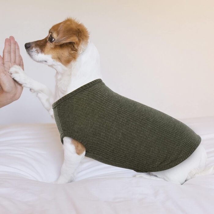 Сорочка для собак Х'юмараян, великі породи, зелена XXL: захист від сонця, еластична, для лабрадорів