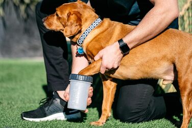 Dexas MudBuster: портативний очищувач лап для собак, розмір M, сірий, з кришкою