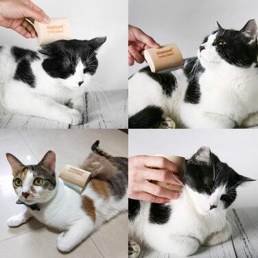 Інструмент для догляду за шерстю собак, котів та коней: ергономічна дерев'яна щітка, професійний гребінець для грумінгу, безболісний для короткої та довгої шерсті, видаляє шерсть та бруд - 6,5 см