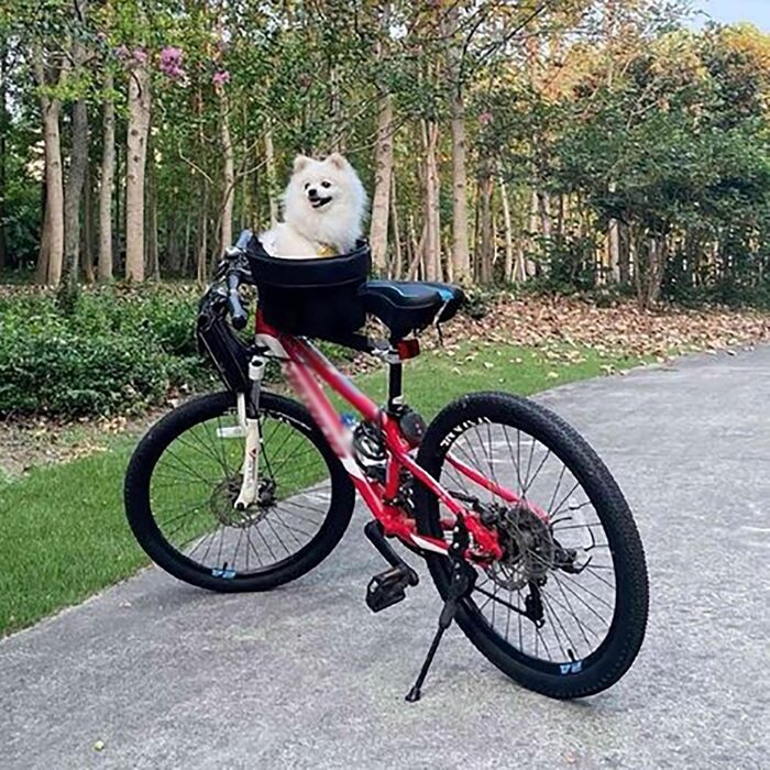 Кошик для собак на велосипед - знімний аксесуар для маленьких собак, безпечний та зручний для прогулянок та перевезення