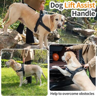 Шлейка для собак Eeyfarog No Pull без ривка, для малих та середніх порід, чорна, регульована, світловідбиваюча (M, обхват грудей 53–70 см)