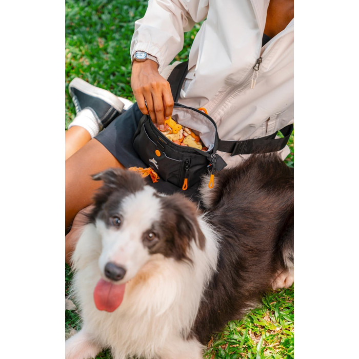 ОлліДог Backcountry Tagestasche: Сумка для ласощів та відходів для собак, з відсіком для кульок, на пояс (Raven S'25)