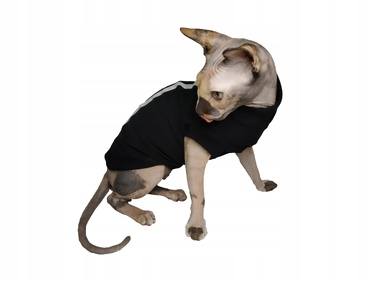 Базовий світшот Nela Wear, багатоколірний (XS, S, M, L)