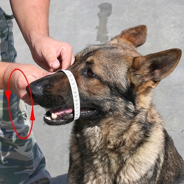 Пластиковий намордник Dingo Gear