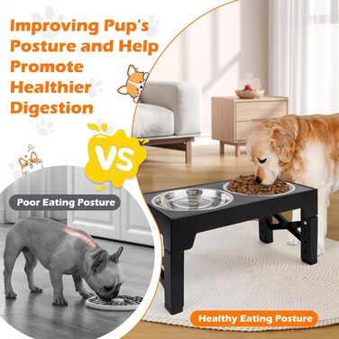 Підвищена годівниця для собак та котів, регульована висота, з нержавіючої сталі, 2 миски, чорна