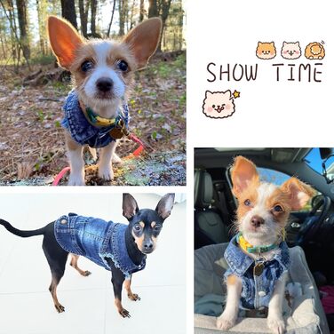 Комбінезон для собак та котів SILD Cool Vintag Washd Dnim Jack Jumpsuit, блакитний, 6 стилів, XS-XXL