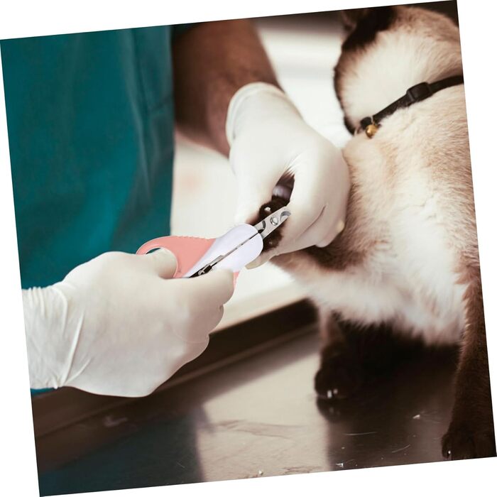 Набір з 3 шт. ножиків для обрізання кігтів собак Besportble з нержавіючої сталі, ергономічні, для собак маленьких, середніх та великих порід. Практичне аксесуар для догляду за домашніми тваринами.