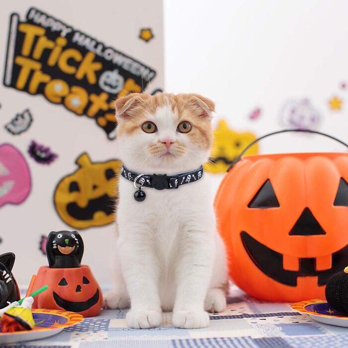 Нашийник для котів та маленьких собак BoomBone Totenkopf з дзвіночком, 2 шт., чорно-білий, нейлон, розмір 17.8-27.9 см