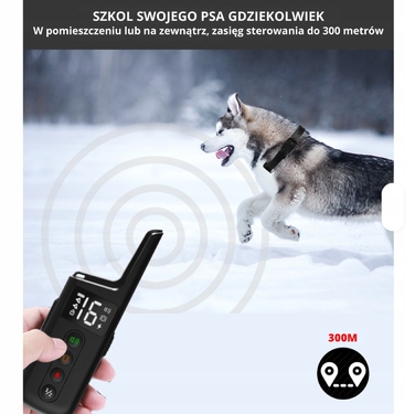 Тренувальний електронашийник для собак: корекційний пристрій для дресирування