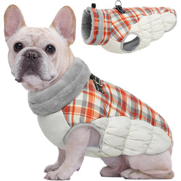 колір: рудий килим