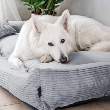 М'яке ліжко для собак 4L Textil Molly, корд, 80x60 см, сірий колір. Знімна та пральна наволочка. Підходить для середніх собак.