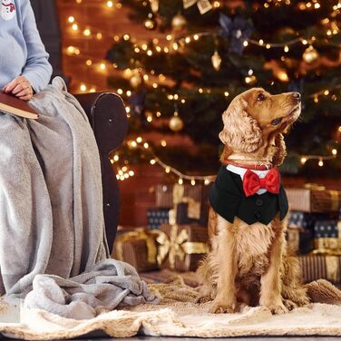 Нашийник для собак з краваткою для весілля, смокінгу, Дня святого Валентина, дня народження - костюм для собак, одяг для котів (чорний, M) M Чорний