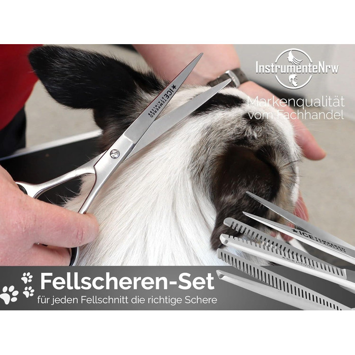 Набір професійних ножиць для стрижки собак Fellschere, 3 шт.