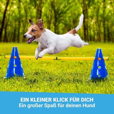 Набір для дресирування собак AMAZINGs Agility Set: перешкоди, тунель, кавалетті | Для аджиліті, спорту та ігор