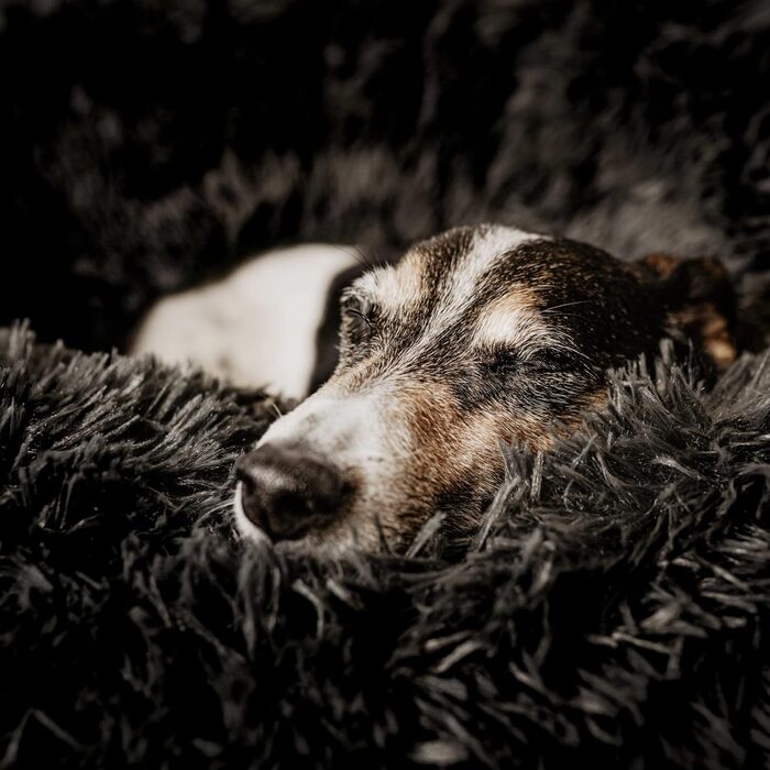 District 70 Fuzz - Піжама чоловіча - Sand (XL, Темно-сірий)