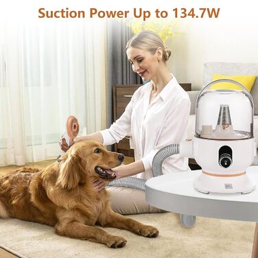 Пилосос для догляду за тваринами, набір для грумінгу, вакуумний насадка, видалення 99% шерсті, пилосос для собак, догляд за тваринами, вакуум для собак та котів, набір 5-в-1, золотий видальник шерсті