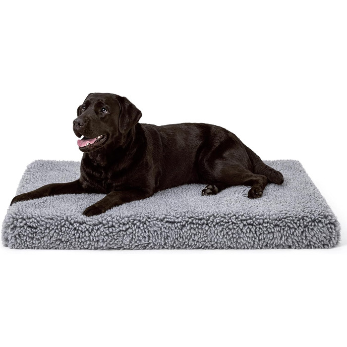 Лежанка для собак Toutwool 10см, стійка до гризіння - ортопедична підстилка для перенесення, м'яка лежанка для собак, ідеально підходить для маленьких порід, розмір L 62см, 58x41x10cm (XL, Charcoal)