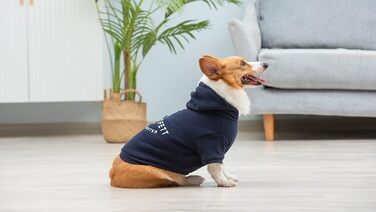 Худі для собак Star Wars Boba Fett, блакитний, розмір Small | Одяг для собак Star Wars | Зручний капюшонний світшот для собак, подарунок для фанатів Star Wars