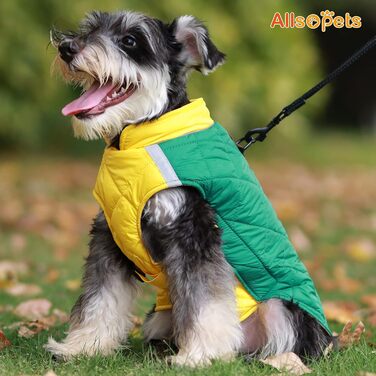 Теплий зимовий теплий жилет для собак маленьких та середніх порід, жилет для собак, одяг для собак, жилет для сноубордингу, одяг для чихуахуа, бульдога, зелений, 2XL