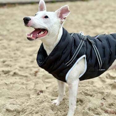 Водонепроникна тепла куртка для собак 2-в-1 з інтегрованою шлейкою – Зимова куртка для собак з відбиваючими елементами, вітронепроникна, червона (M)