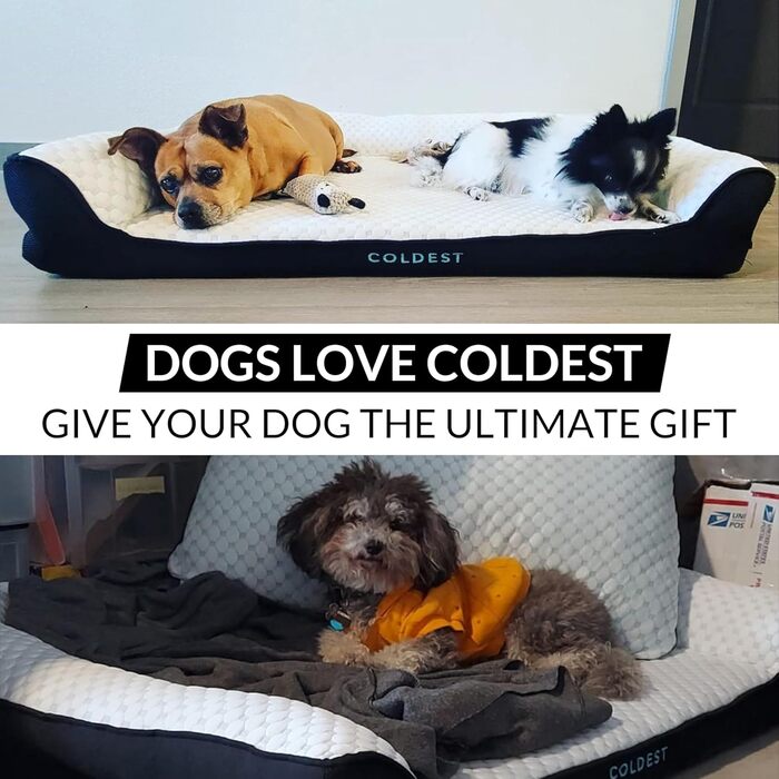 Охолоджувальне ліжко для собак Coldest Cozy, середнє, сіре – знімний та праний чохол, нековзке, для малих і середніх порід
