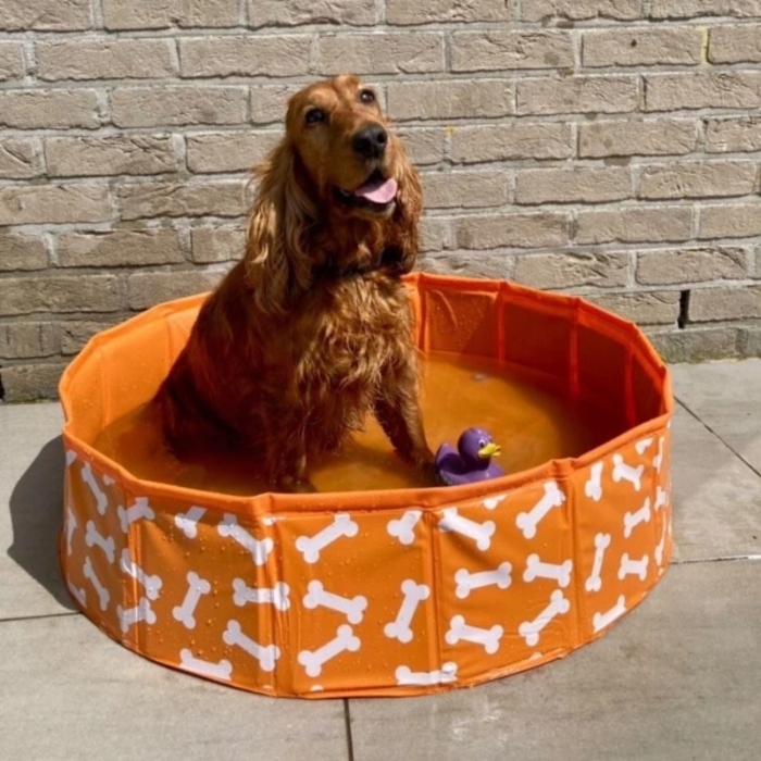 Охолоджувальний басейн для собак The Swim Essentials Bonebash Orange, 80 см