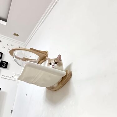 Кішка Wandregale (стійка) Katze Wandhängematte (гамак) Katze Wandbett (ліжко) Katze Wandmöbel (меблі) для котів - для лазіння та відпочинку