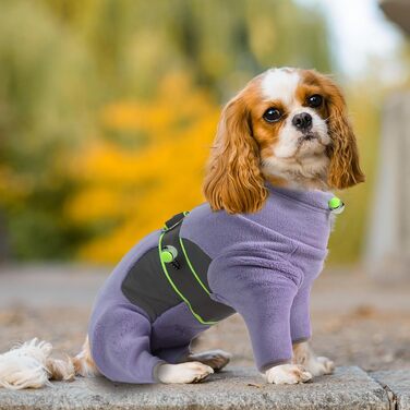 Флісова куртка для собак, тепла зимова куртка-мандель для собак, флісовий пуловер для собак з шлейкою та блискавкою, вітронепроникний, м'який піжамний костюм для середніх собак, Віндгорн, Французький бульдог (XS-XXL), M - обхват грудної клітки 42см, довжи