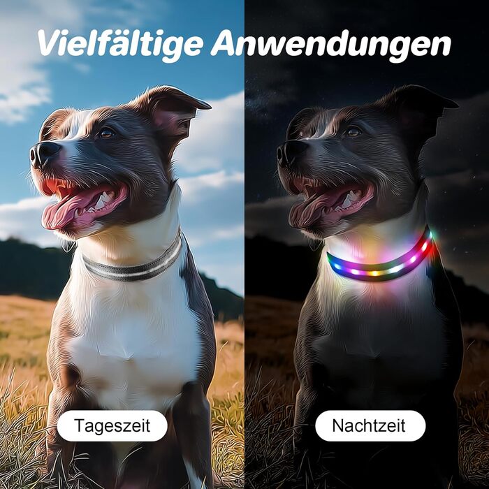 Світлодіодна нашийник для собак Feycig з USB зарядкою - водонепроникний, регульований, 3 режими, для малих, середніх та великих собак (Чорний, L(48-60см))
