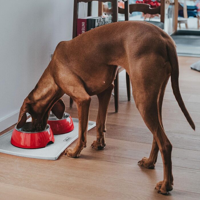 Тарілка для їжі HUNTER Melamin, червона, 160 мл, з нержавіючої сталі, неслизька, стійка до подряпин та ударів, легко миється, придатна для миття в посудомийній машині