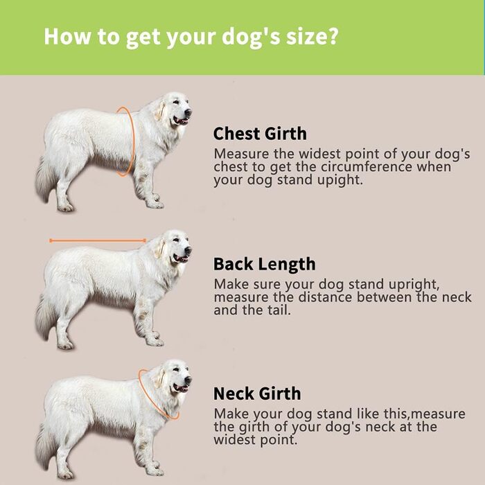 Жилет для собак Snik-S з регульованим поясом, акуляча куртка для собак з короткою мордою (Мопс, Бульдог, Пудель, Бультер'єр, Лабрадор) (Зелений, Розмір M)